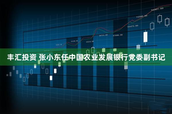 丰汇投资 张小东任中国农业发展银行党委副书记