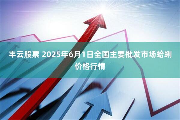 丰云股票 2025年6月1日全国主要批发市场蛤蜊价格行情