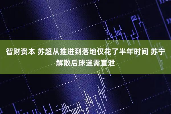 智财资本 苏超从推进到落地仅花了半年时间 苏宁解散后球迷需宣泄