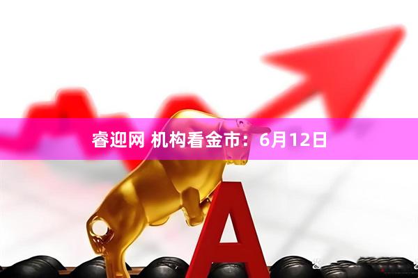 睿迎网 机构看金市：6月12日