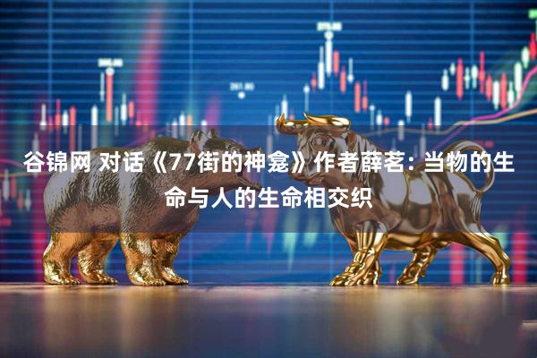 谷锦网 对话《77街的神龛》作者薛茗: 当物的生命与人的生命相交织