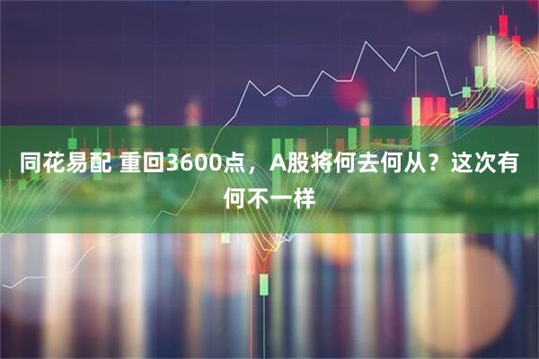 同花易配 重回3600点，A股将何去何从？这次有何不一样