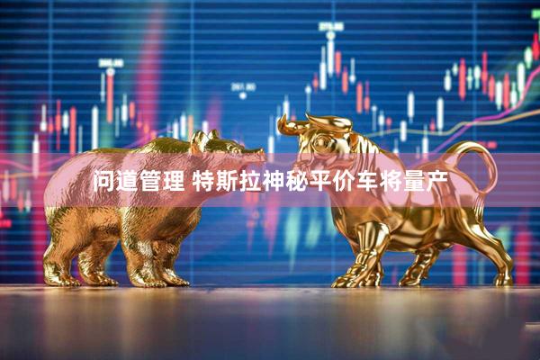 问道管理 特斯拉神秘平价车将量产