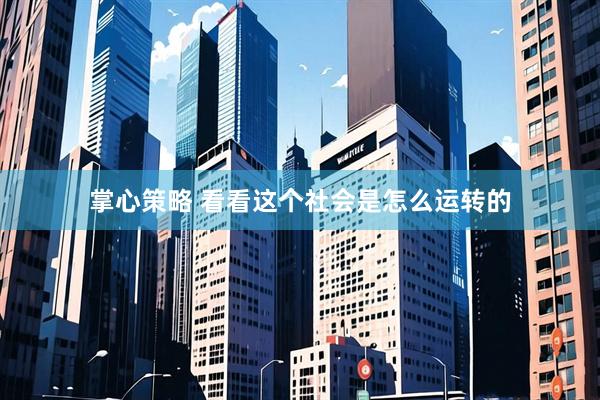 掌心策略 看看这个社会是怎么运转的