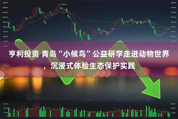 亨利投资 青岛“小候鸟”公益研学走进动物世界，沉浸式体验生态保护实践