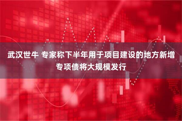 武汉世牛 专家称下半年用于项目建设的地方新增专项债将大规模发行