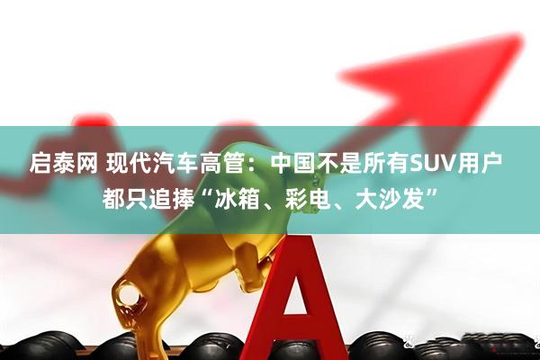 启泰网 现代汽车高管：中国不是所有SUV用户 都只追捧“冰箱、彩电、大沙发”