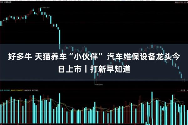 好多牛 天猫养车“小伙伴” 汽车维保设备龙头今日上市丨打新早知道