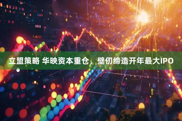立盟策略 华映资本重仓，壁仞缔造开年最大IPO
